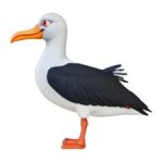 yaroslav.nikolaevich