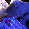 prodigy_2