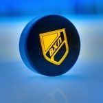 VHL Bet Hockey Group
