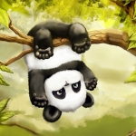 Mister Panda