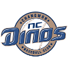 logo НЦ Динос