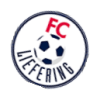 logo Лиферинг