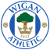 logo Уиган Атлетик (мол)