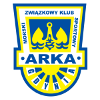 logo Арка (19)