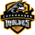 logo Copenhagen Wolves