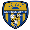 logo Верриби Сити
