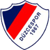logo Дюзджеспор