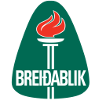 logo Брейдаблик (ж)