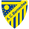 logo Барнечеа
