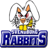 logo Свендборг