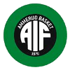 logo Аммеруд