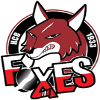 HC Bolzano-Bozen Foxes
