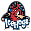 Rockford Icehogs