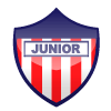 Логотип Хуниор