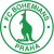 Логотип Богемианс Дублин