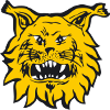 Логотип Ilves