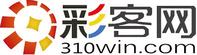 Логотип 310win